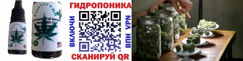 Canna-Cookies конопля кракен зеркало Зуевка