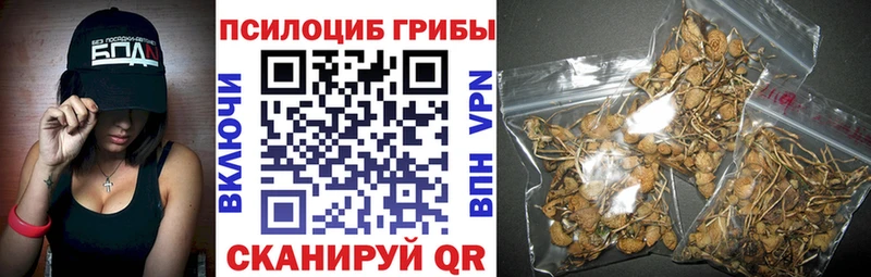 Галлюциногенные грибы Psilocybine cubensis KRAKEN ONION Зуевка